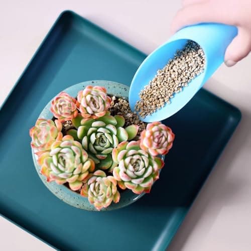 9PCS Bonsai Soil Scoop Plastic Succulent Soil Scoop Indoor Plants Little Small Potting Shovel Bucket Shovel for Garden Planting