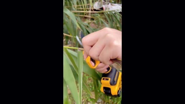 Brushless Electric Pruning Shears for DeWalt 20V Battery, Portable Cordless Pruning Shears with LCD Display＆SK5 Blades, Adjustable Cutting Diameter 0.8-1.2 Inch for Gardening Tree Pruning(NO Battery)