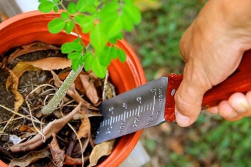 Garden Guru Hori Hori Gardening Knife for Weeding, Digging, Pruning, and Cultivating - Stainless Steel Full Tang Blade | Marks for Measuring Planting Depth