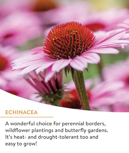 Burpee Wildflower 25,000 Bulk, 1 Bag, 18 Varieties of Non-GMO Flower Seeds Pollinator Garden, Pollinator Mix