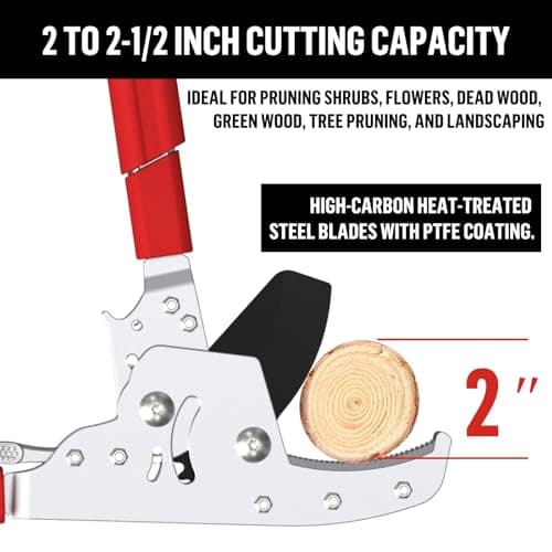 GARTOL Heavy-Duty Extendable Loppers, 28"-41" Telescopic Tree Trimmer, Double Ratcheting Branch Cutter, Anvil Lopper for Thick Branches, Cuts 2" Dry Wood