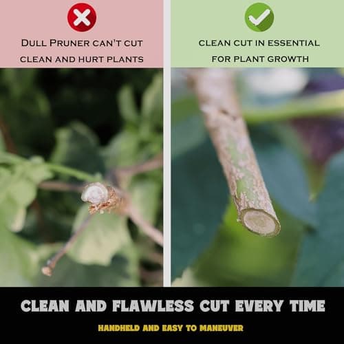 Ratchet Pruning Shears for Gardening Heavy Duty SK5 Japanese Steel Titanium coated Blades 3X Easier Cutting Ideal for Weak Hands & Arthritis. Anvil Pruner, Secateurs, Hedge Shears, Best Garden Gifts
