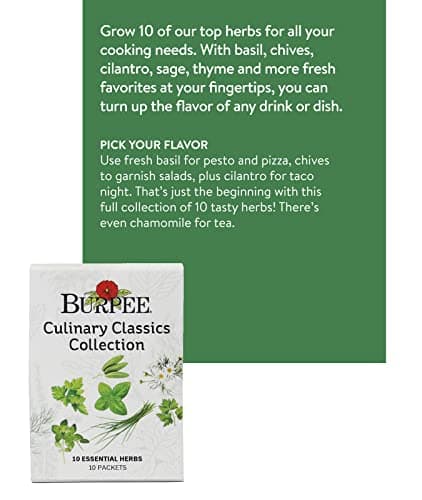 Burpee Culinary Classics Garden Collection 10 Packets of Non-GMO Chives, Cilantro, Basil, Sage, Thyme, Dill, Parsley, Chamomile, Marjoram & Oregano | Kitchen Herb Variety Pack, Seeds for Planting