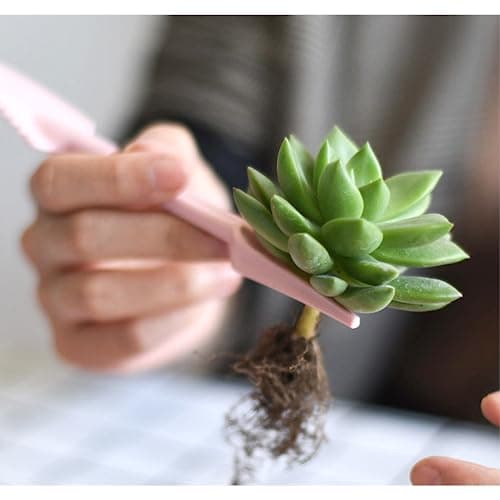 Transplanting Tool Set, 2Pc Small Plastic Sowing Digging Tools Kit Seedling Extractor, Mini Garden Seedling Tools for Home Planting Succulents Indoor Outdoor Widger Digging 2 Color (Blue)