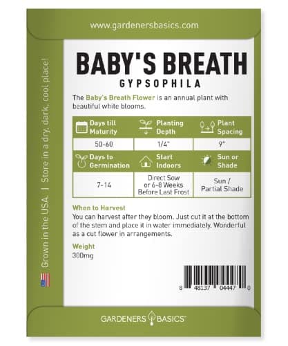 Gardeners Basics, Baby's Breath Seeds for Planting Gpsophila - Beautiful Annual Cut Flower for Flower Arrangements and Beautiful in Flower Beds in Summer Gardens Too