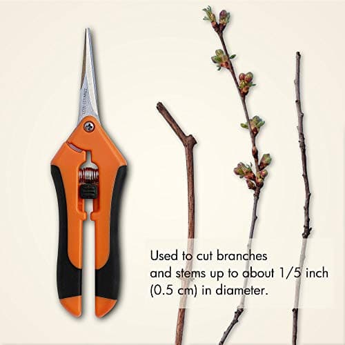 Gardzen 2-Pack 6.5'' Hand Pruner Pruning Shear, Functional Garden Scissors Cutter with Straight for Tackle Stems and Light Tree Branches