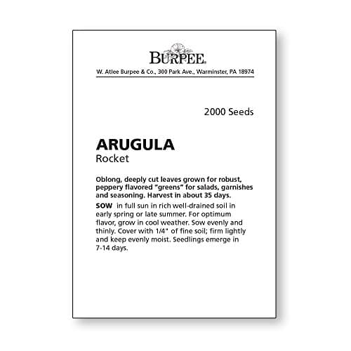 Burpee Rocket Arugula Seeds 2000 seeds