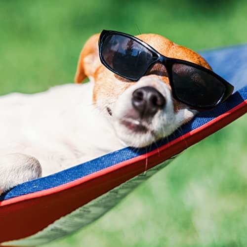 Hammock with Stand Included - Portable Hammock Fits into Carry Bag for Easy Travel - Perfect for Backyard, Pool, Beach, Hiking by Lavish Home (Gray)