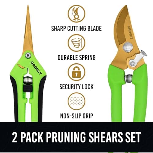 Pruning Shears & Gardening Scissors Set - 7" Titanium Coated Sharp Garden Clippers, Stainless Steel Flower Shears for Plant - Garden Pruners, Florist Scissors with Non-Slip Grip