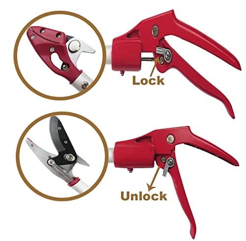 2 Feet Cut and Hold Tree Pruner, Rotation Pole Tree Trimming, Short Reach Fruit Picker, Branches Bypass Lopper