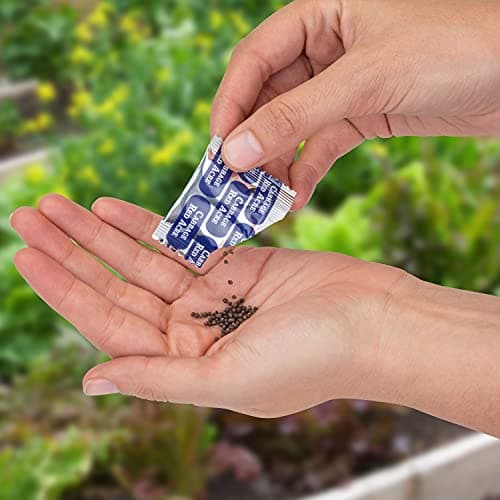 16,500 Non GMO Heirloom Vegetable Seeds Survival Garden 40 Variety Pack