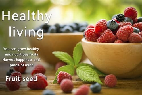 Mix Fruit Seeds 1100+ Berry Seeds for Planting Strawberry Raspberry Mulberry Blueberry Elderberry Cherry - 6 Varieties Individually Packaged Non-GMO for Home Garden