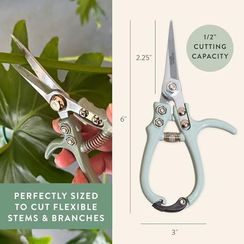 Modern Sprout Pruning Shears for Gardening, Herb Snips, Flower Cutting Scissors, Indoor Plant Shears, Lightweight, Ergonomic, Carbon Steel Blade, Easy-Lock Safety, Aesthetic (Ocean)
