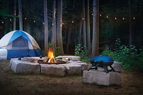 Napoleon TravelQ 285 Portable Propane Gas Grill, Blue - 2 Burners, For Tailgating, Camping, And Small Outdoor Spaces