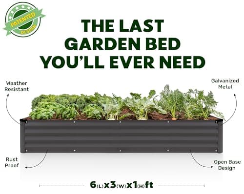 Galvanized Raised Garden Beds Outdoor // 6×3×1 ft Planter Raised Beds for Gardening, Vegetables, Flowers // Large Metal Garden Box // Patented Tool-Free Design (Dark Gray)