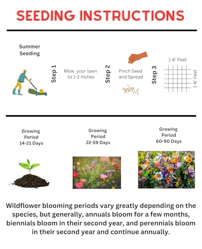 Shade Wildflower Mix (Seed Packet) - Shade, Perennial, Deer-Resistant, Hummmingbird, Midwest and Others Create a Colorful Garden That Enhances Your Outdoor Space with Natural Beauty!