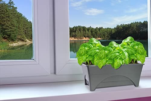 Emsco Group Start Pickin' Raised Bed Grow Box – Self Watering and Improved Aeration – Starter Box or Small Herb Garden Growing - 10" Bed - 12x20 Growing Area - Slate