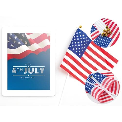 OHOME 4th of July Decorations - 12 Pack Small Mini American USA Flags on Stick Fourth of July Decorations - Red White and Blue Fourth of July Accessories Patriotic Party Favors Supplies Outdoor Indoor
