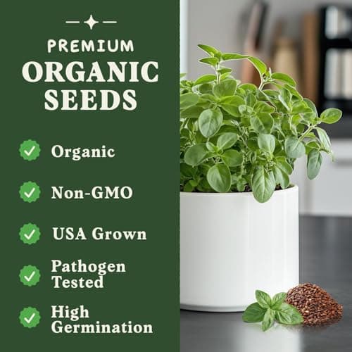 Organic Oregano Seeds for Planting Indoor and Outdoor, Non-GMO and USDA Certified Herb Seed Packet for Hydroponic Garden Indoor or Planting Outdoors (Italian Oregano)