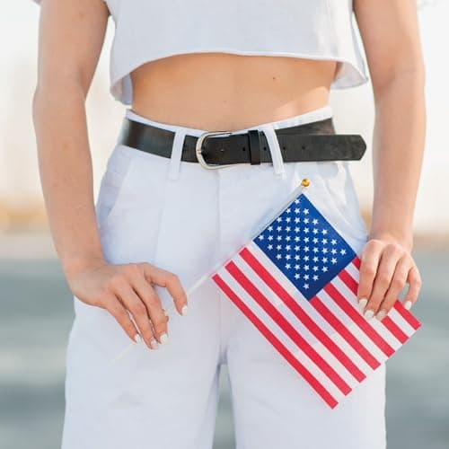 OHOME 4th of July Decorations - 12 Pack Small Mini American USA Flags on Stick Fourth of July Decorations - Red White and Blue Fourth of July Accessories Patriotic Party Favors Supplies Outdoor Indoor