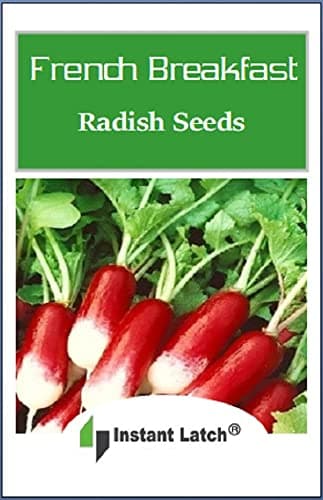 100 French Breakfast Radish Seeds | Non-GMO | Fresh Garden Seeds