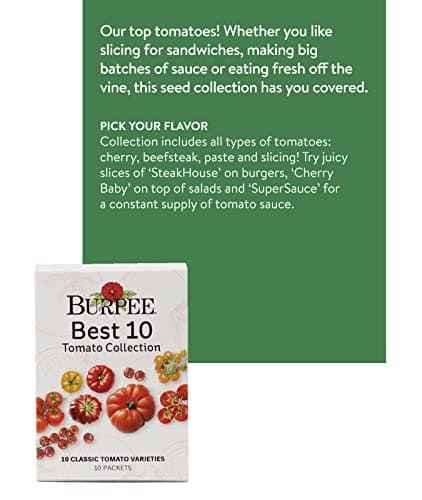 Burpee Best 10 Non-GMO Planting Tomato Seeds for Garden Gifts (1 Pack)