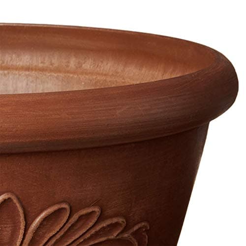 PSW Pot TA30TC Collection Shallow Bulb Pan Planter Dish Low Bowl for Succulents, Bonsai, Fairy Gardens, Herbs, 12-inch, Terra Cotta Color