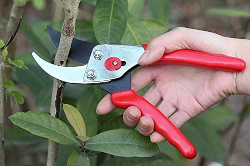 Flora Guard Garden Shears 8.5" Bypass Pruning Shears, Professional Ultra Sharp Sk5 Steel Garden Clippers, Heavy Duty Plant Cutting Scissors Tools Supplies, Hedge Branch Trimmer, Super Durable