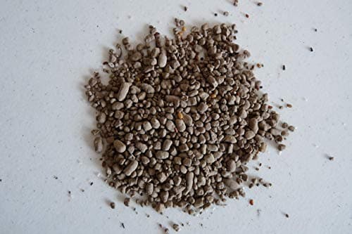 Wildflower Pollinator Mix from Earth Science, 3-in-1 Mix with Premium Wildflower Seed, Plant Food and Soil Conditioners, Non-GMO, for Bees, Hummingbirds, Butterflies, Pollinators 6 lb