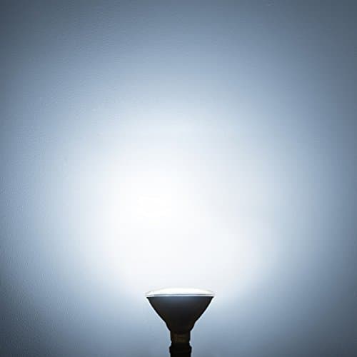 Xtricity LED PAR38 Dimmable Flood Light Bulb, 18.5W (100W Equivalent), Waterproof, 1400 Lumens, 5000k Day Light, 120V, Indoor/Outdoor, Energy Star Certified, UL Listed (4 Pack)