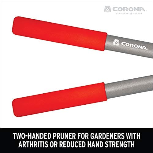 Corona BP 3225D Forged Steel ClassicCUT Bypass Hand Pruner - 3/4 inch Cut Capacity Stem and Branch Garden Shears, Red