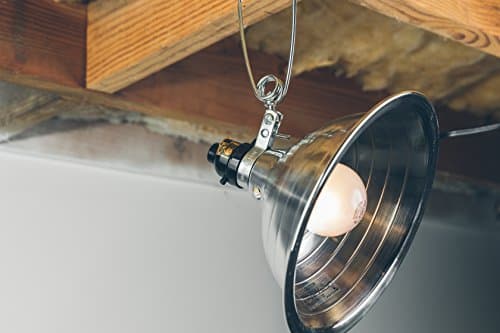 Woods Clamp Lamp Light with Aluminum Reflector; 150W; UL Listed; 6- Foot Cord
