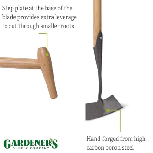Gardener's Supply Company Lifetime Dutch Hoe | High-Carbon Boron Steel Blade & 54" Long European Ash Wood T-Handle | Easy to Use Gardening Tool