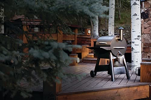 Traeger Grills Pro 22 Wood Pellet Grill & Smoker, Electric Pellet Smoker Grill Combo, 6-in-1 BBQ Versatility, 572 sq. in. Grilling Capacity, Meat Probe, 450 Degree Max Temperature, 18LB Hopper, Bronze