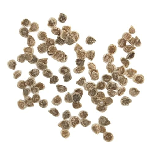 Purely Organic Tomato Seeds (Cherokee Purple) - Approx 75 Seeds - Certified Organic, Non-GMO, Open Pollinated, Heirloom, USA Origin