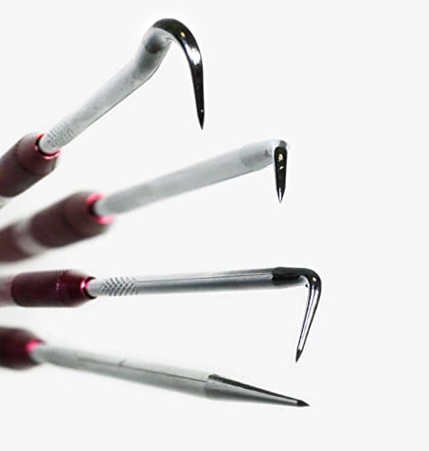 VViViD Stainless Steel Precision Weeding Tool Sets (2 Piece Long Tools)