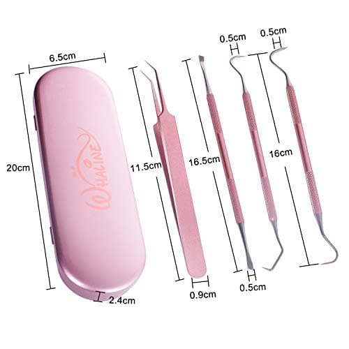 Whaline Weeding Vinyl Tools 4 Pieces Precision Stainless Steel Cricut Weeder Tool with Case, Vinyl Craft Paper Craft Tool Kit for Silhouettes Cameos, Lettering Scraper Hook Spatula Tweezers