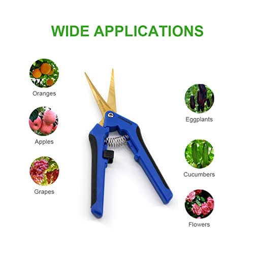 12PCS Pruning Shears with Curved Blades, Garden Trimming Scissors, Gardening Hand Pruning Snips Titanium Coated Precision Bonsai Pruning Shears, Convenient Flower Cutters (Blue)
