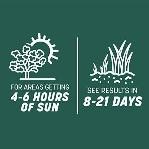 Pennington Smart Seed Sun and Shade Grass Mix 7 lb