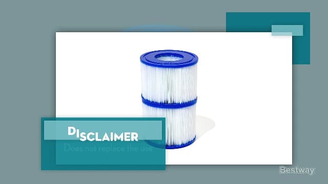 Bestway SaluSpa Filter Cartridge (VI) | Compatible with All SaluSpa Inflatable Hot Tub and Spa Models, 2 Count (Pack of 1)