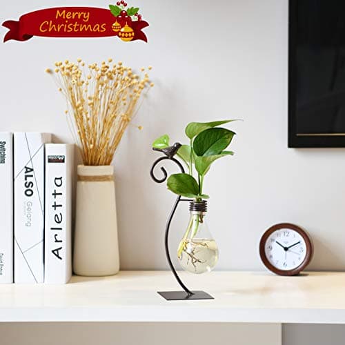 Marbrasse Desktop Glass Planter Hydroponics Vase,Planter Bulb Vase with Holder for Home Decoration,Modern Creative Bird Plant Terrarium Stand, for Plant Terrarium