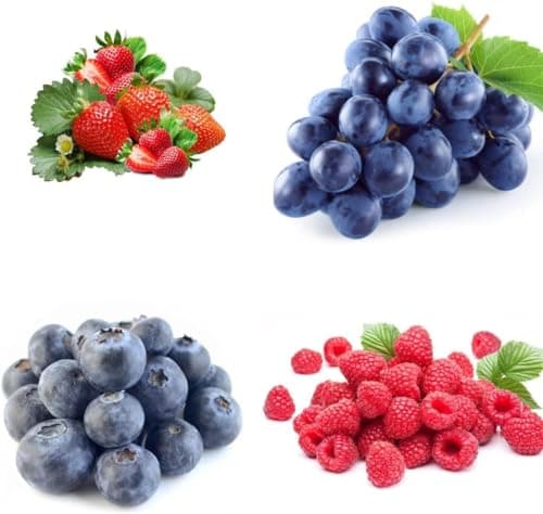 1000+ Mixed Fruit Seeds for Planting - Strawberry Raspberry Blueberry & Grape Seeds Fresh Fruit - Individually Packaged