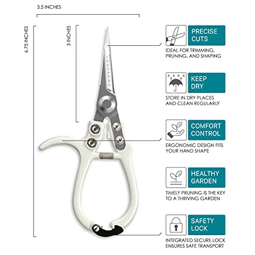 Plant Pruning Shears Garden Trimming Scissors Precision Hand Pruner Herb Snips Flower Clippers Bonsai Trimmers Straight Sharp Blade Tapered Tip Ergonomic Handle Modern Garden Tools