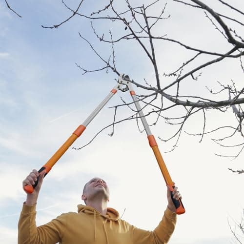 Lopper for Tree Trimming, 27-41'' Extendable Garden Lopper with Compound Action, Heavy Duty Branch Cutter for Trees, Orange