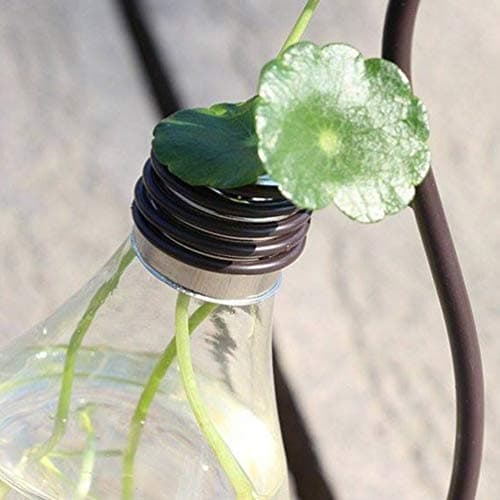 Healifty Plastic Planter Bulb Vase Hydroponics Plants Terrarium Flowerpot Decorative Pottery Planter for Any Occasion, Easy to Do and Fun to Grow