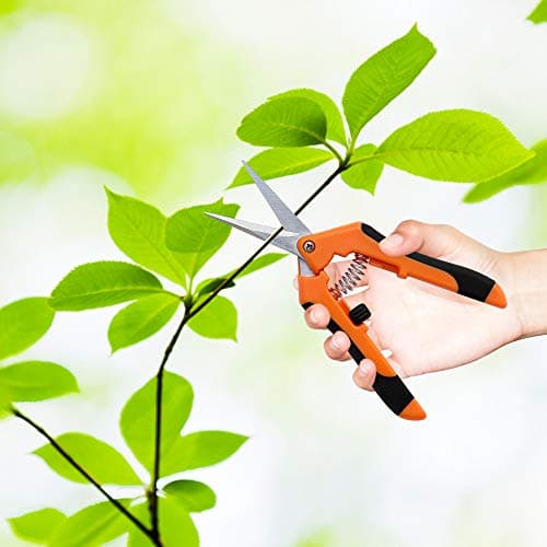 Gardzen 2-Pack 6.5'' Hand Pruner Pruning Shear, Functional Garden Scissors Cutter with Straight for Tackle Stems and Light Tree Branches