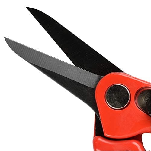 Other BURGON & BALL FOOTROT SHEARS SUPERSHARP, Clear, 350 ml, BBL0038