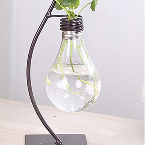 Healifty Plastic Planter Bulb Vase Hydroponics Plants Terrarium Flowerpot Decorative Pottery Planter for Any Occasion, Easy to Do and Fun to Grow