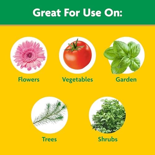 Miracle-Gro Water Soluble All Purpose Plant Food and Garden Feeder Bundle: Use on Flowers, Vegetables, Trees, and Houseplants
