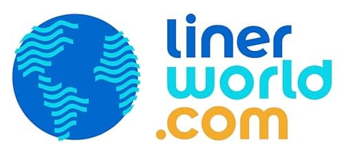 Swimming Pool Liner Patch Repair Kit with Extra Large 2'x2' Liner Sample Patch and 4oz Glue by LinerWorld